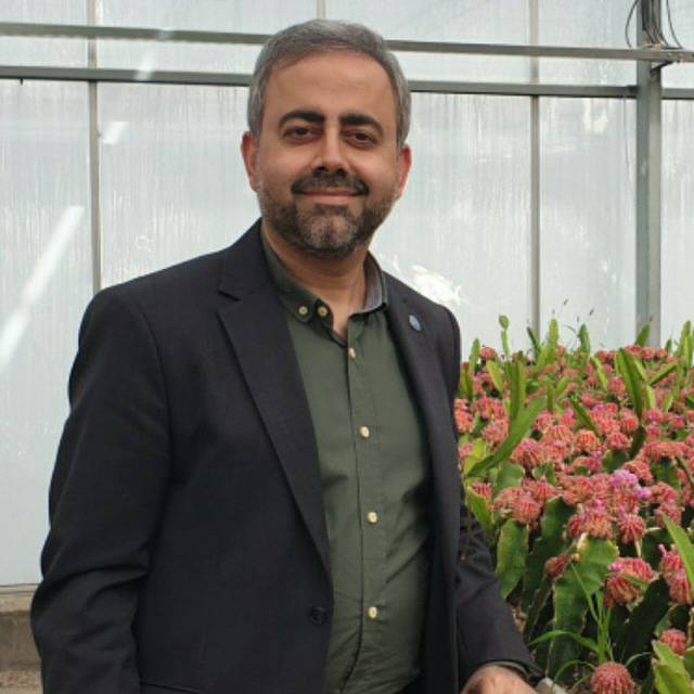 علی