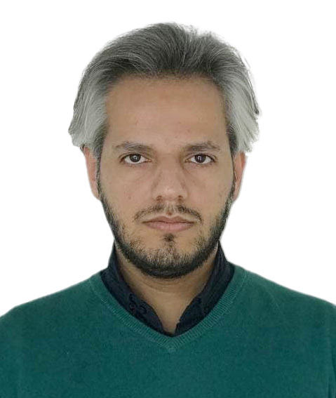حامد