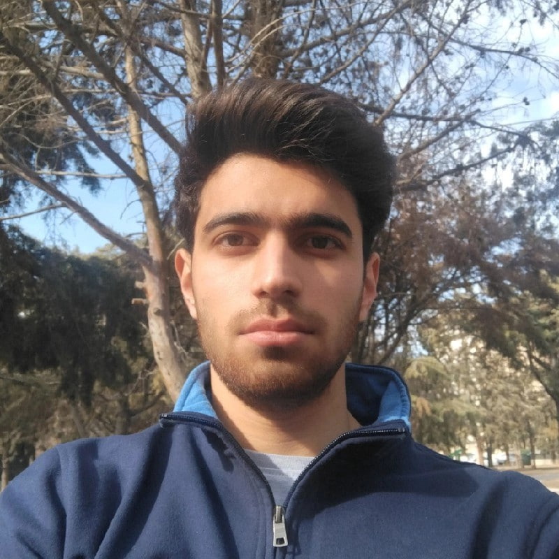 محمدحسین